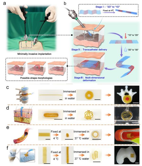 Design And Application Of D P Image Eurekalert Science News Releases