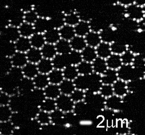 Graphene Grows And We Can See It Eurekalert