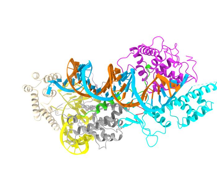 System Model Image Eurekalert Science News Releases