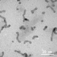 Watching Nanocrystals Grow In Liquid Of Eurekalert