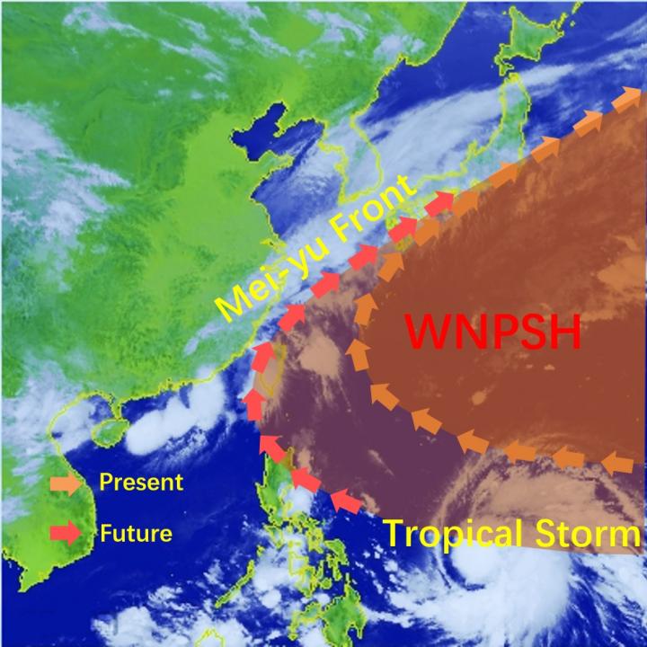 The Western North Pacific Subtropical High