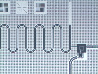 Schematic Diagram of Part of the Superconducting Chip