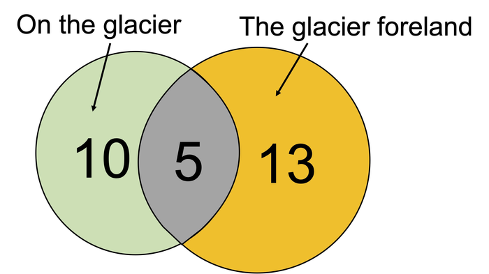 The formation of a unique fungal community on a glacier