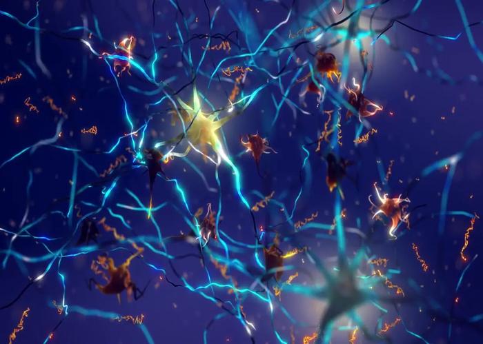 Amyloid fibril formation is a neuroprotective responsive