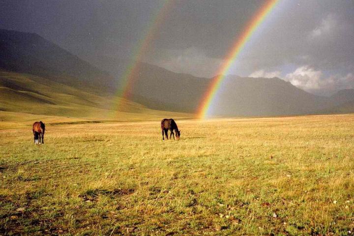 Ancient island arc assemblages