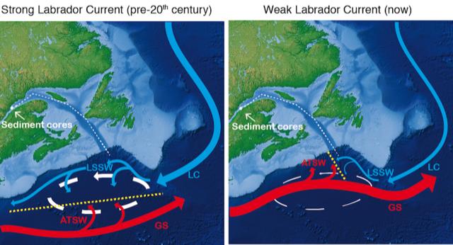 Strong and Weak Labrador Current