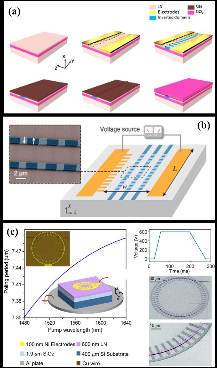 Periodically poled nanophotonic waveguide and microring resonator on LNOI.