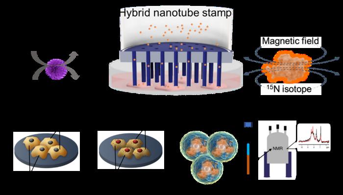 Hybrid nanotube stamp system for cancer treatment