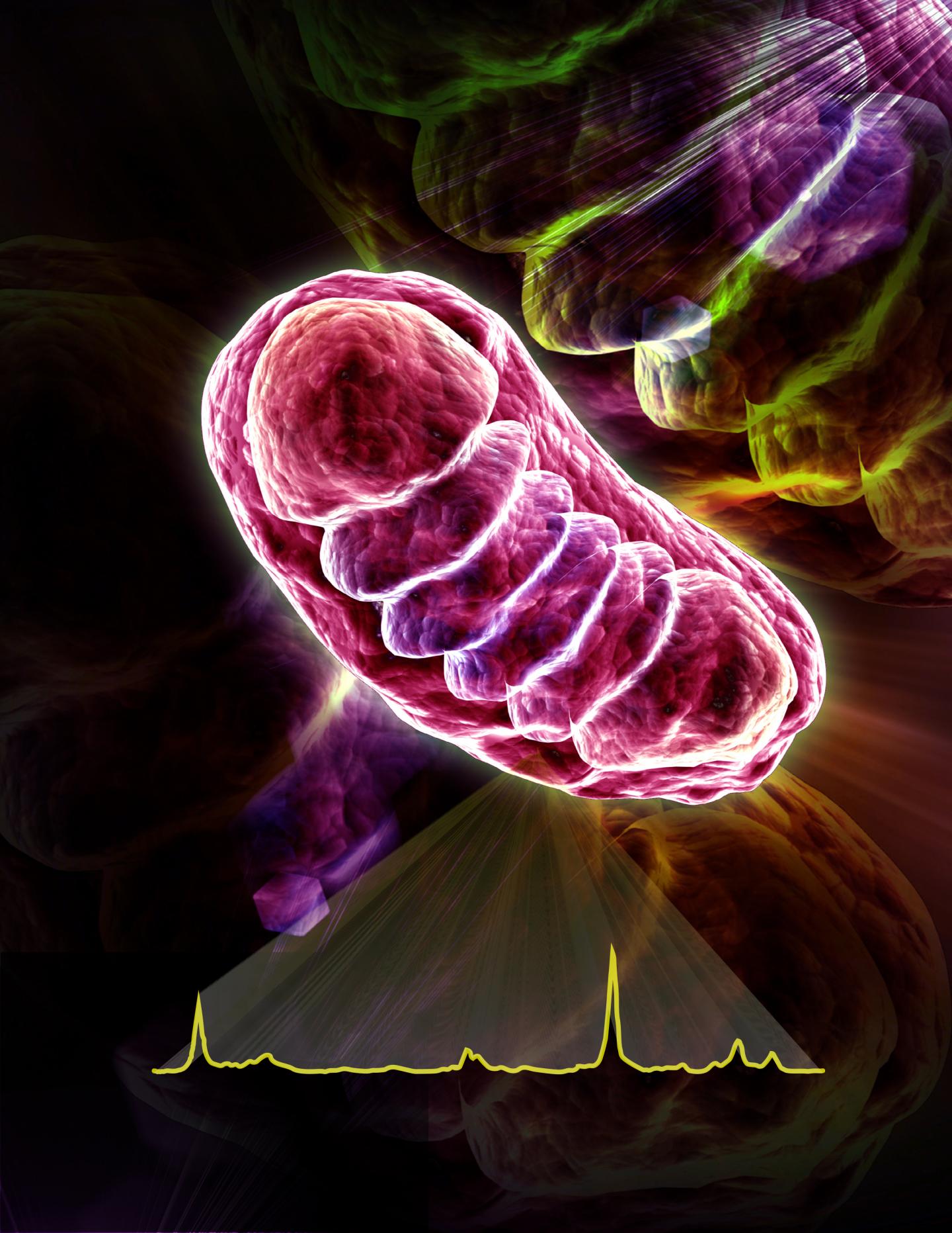 Shining Light on Mitochondria to Predict Cardiac Arrest (1 of 9)