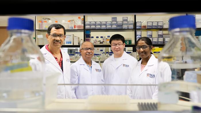 Scientists from the National University of Singapore have developed a new class of artificial water channels for more efficient industrial water purification.
