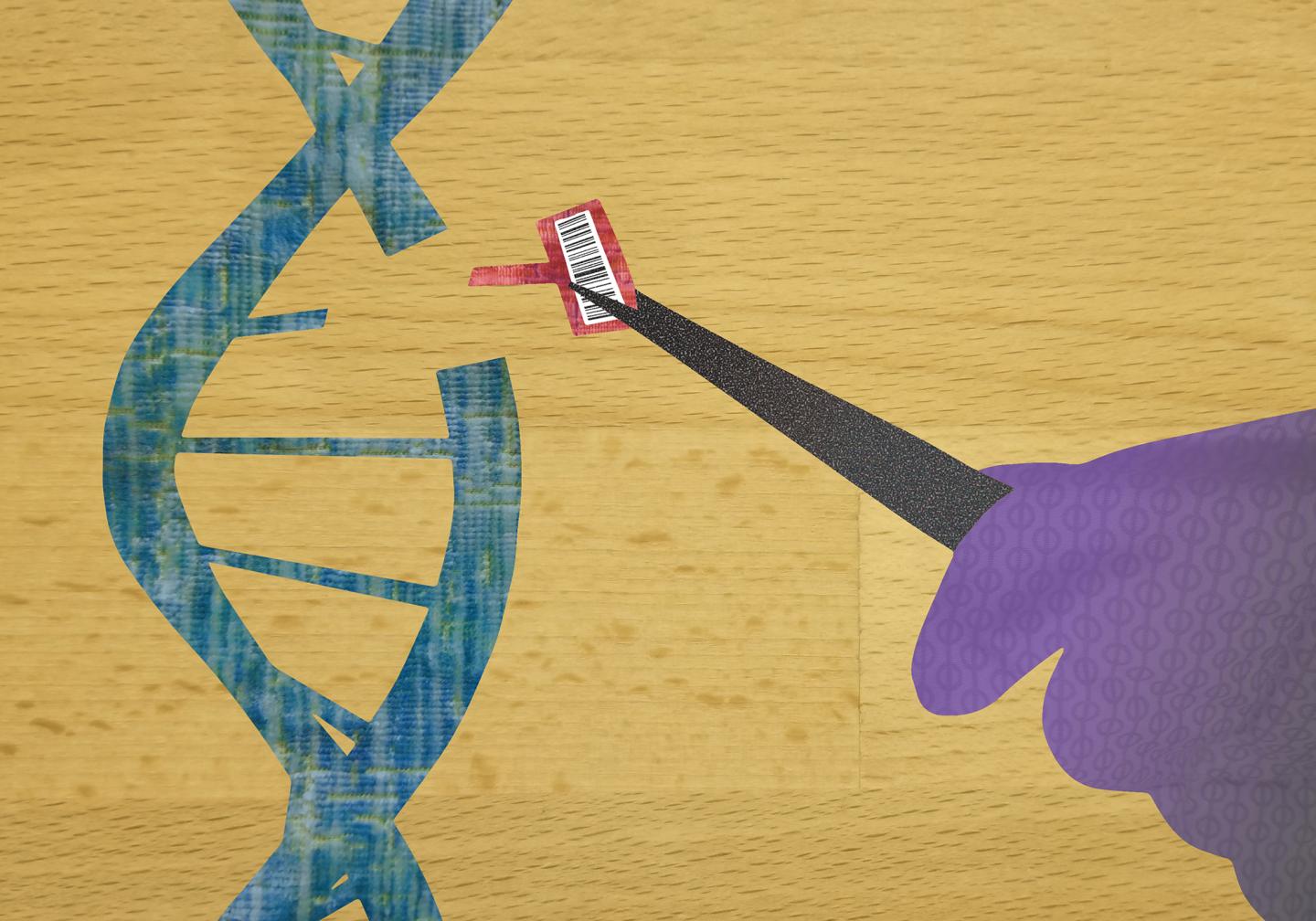 DNA Barcode Editing Illustration