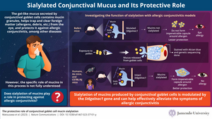 Examining the Effect of Sialylation in The Protective Role of Conjunctival Goblet Cells