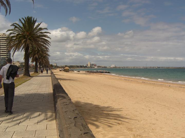 World-First Scientific Discovery Uncovered at a Melbourne Beach