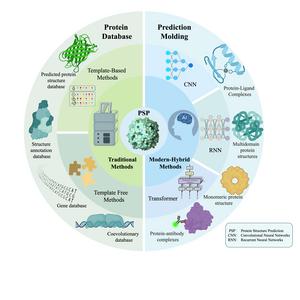 Overview of traditional and modern deep learning methods for protein structure prediction