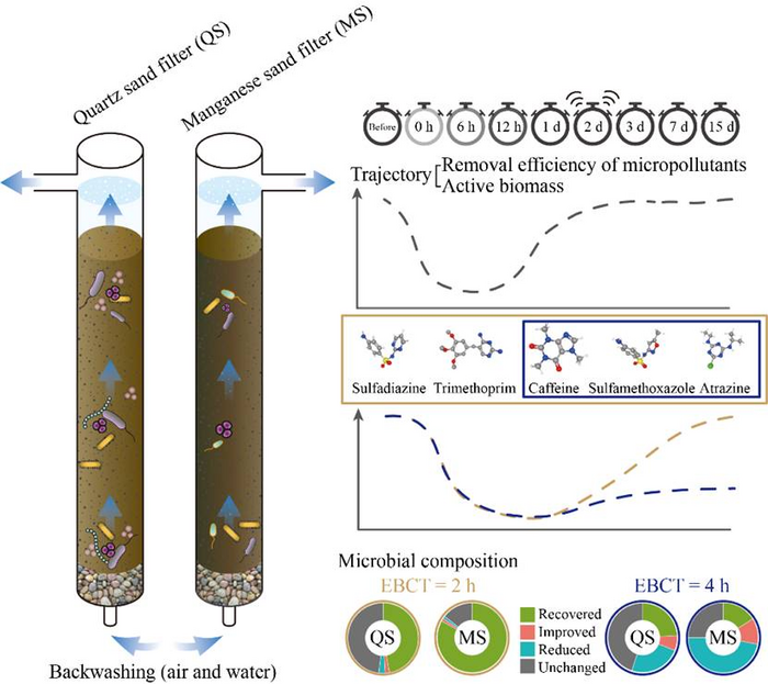 Backwashing affects the removal of micropollutants and the dynamic changes in the microbial community in sand filters