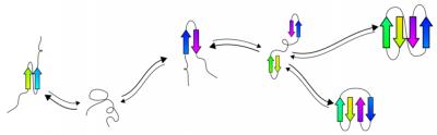 Protein Folding