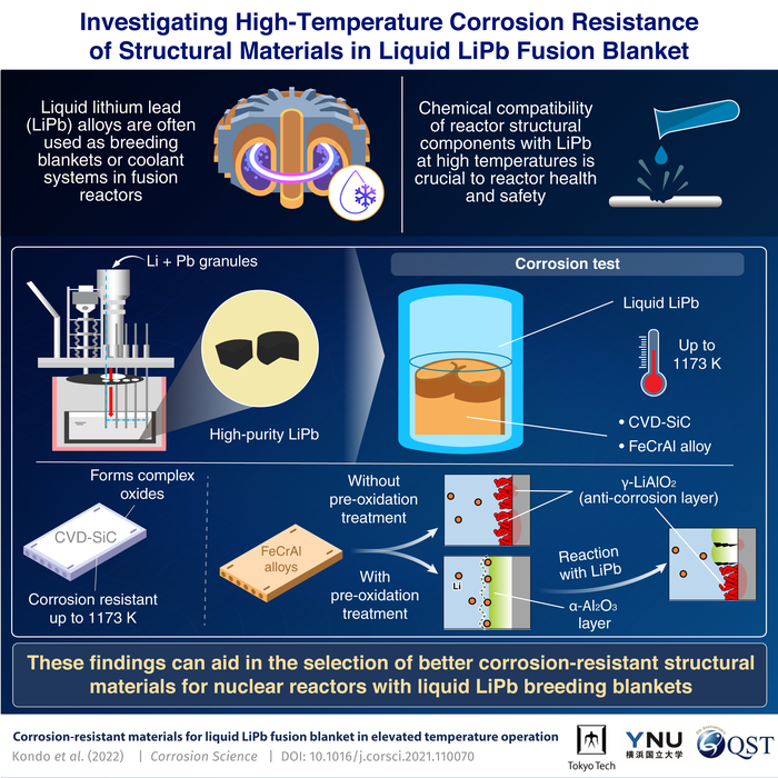 Investigating High-Temperature Corrosion Resistance of structural Materials in Liquid LiPb Fusion Blanket