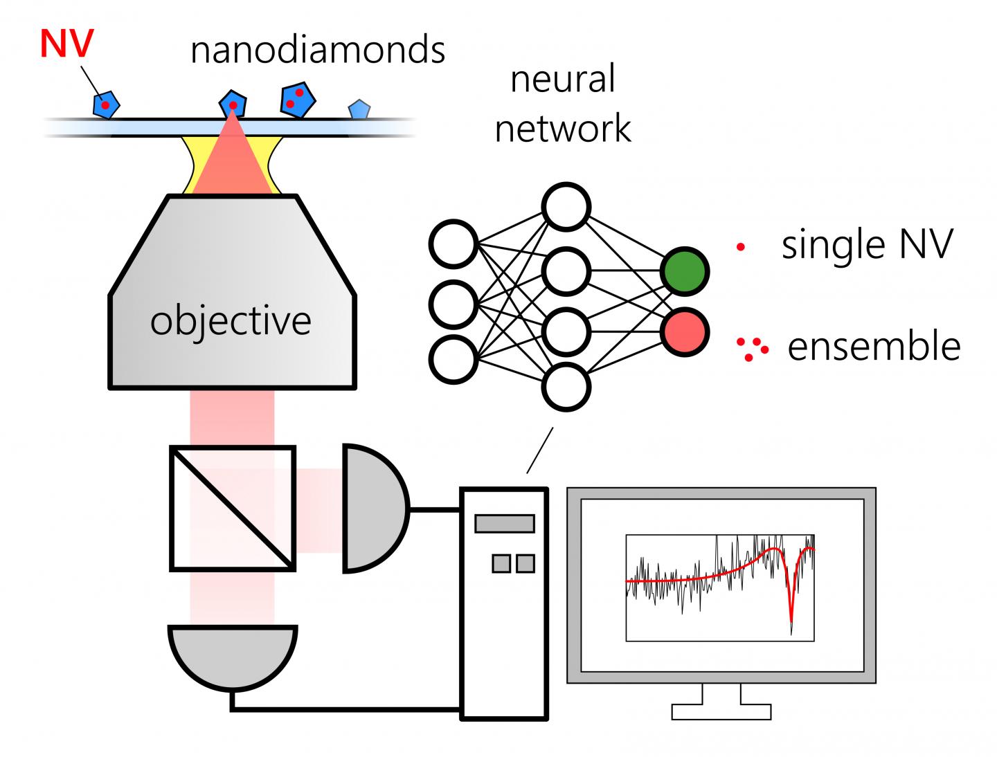 Using Machine Learning To Rapi Image Eurekalert Science News Releases