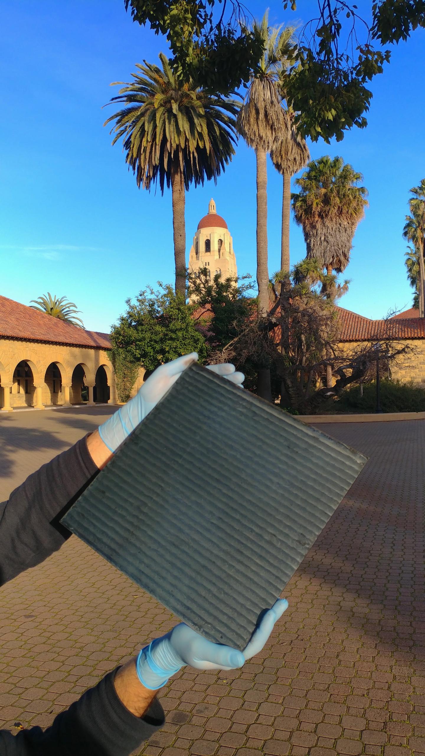 perovskite solar module