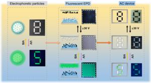 Working principle of the fluorescent EPD and dynamic AC device.