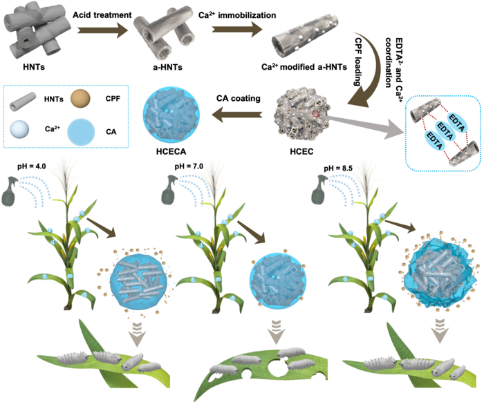 Scientists Fabricate Acid/alkali Dual PH-responsive Smart Pesticide Delivery System