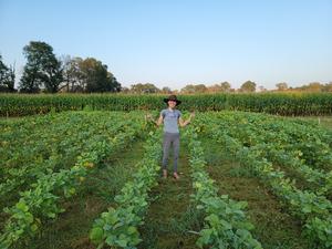 Katy with Edamame plot