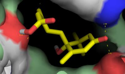 Abscisic Acid Bound to the Receptor Protein