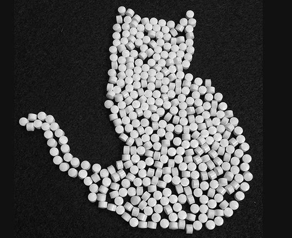 Cats Place Many Demands on Their Medicine