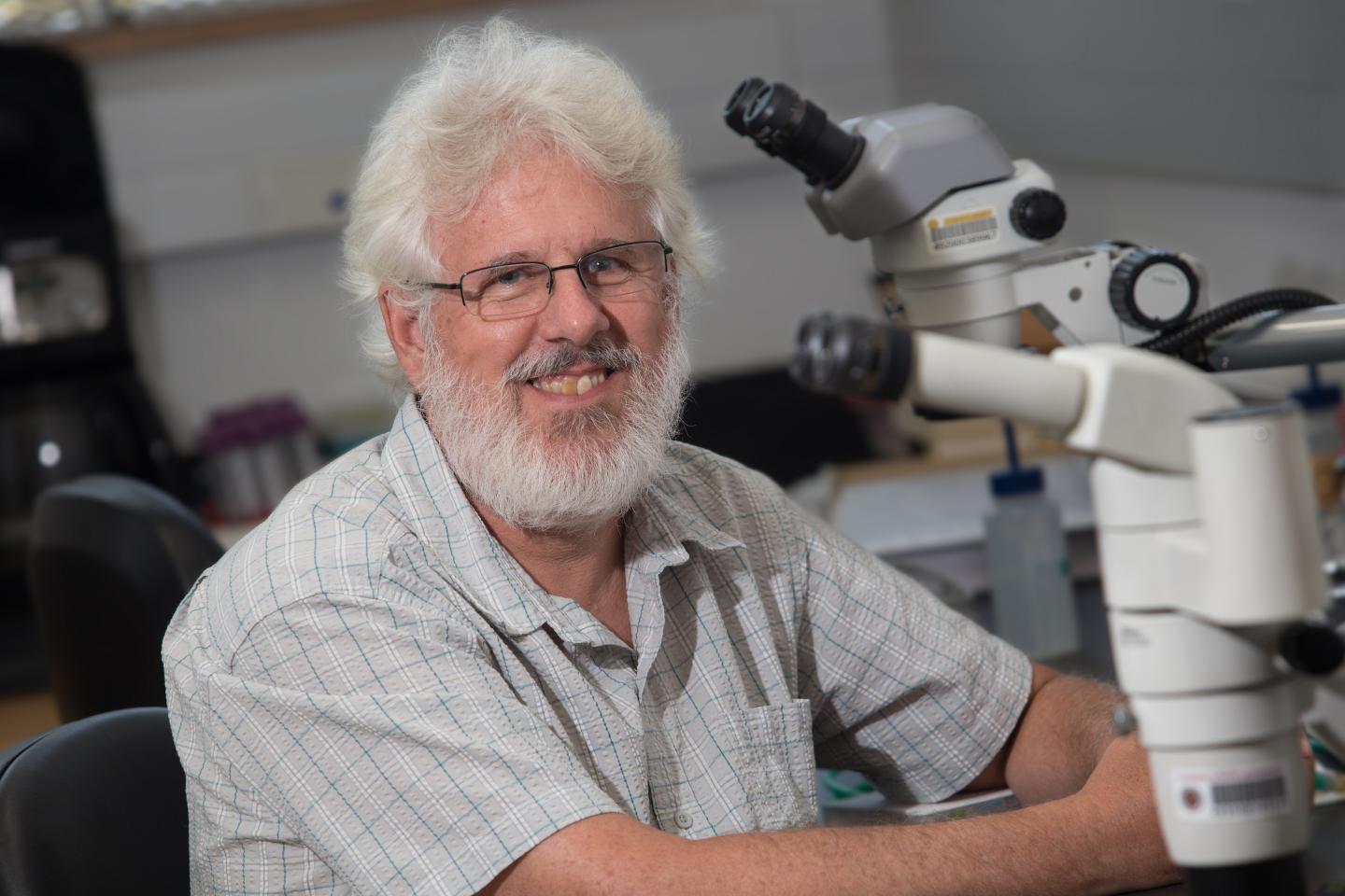 Professor of Biological Science David Houle, Florida State University 