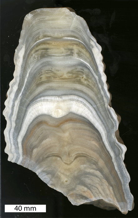 Stalagmit [IMAGE] | EurekAlert! Science News Releases