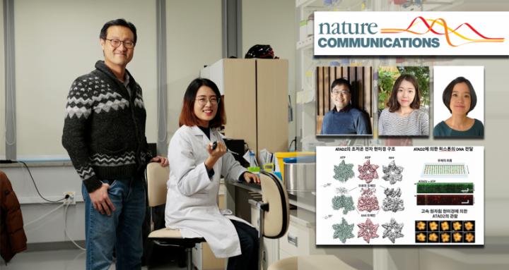 Professor Ja Yil Lee and His Research Team