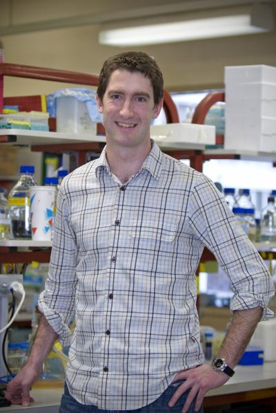 Dr. Ross Dickins, Walter and Eliza Hall Institute