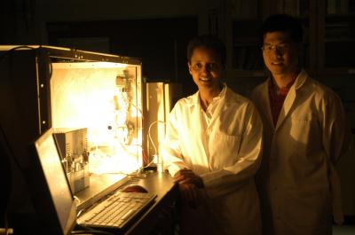 Thermochemical Reactor