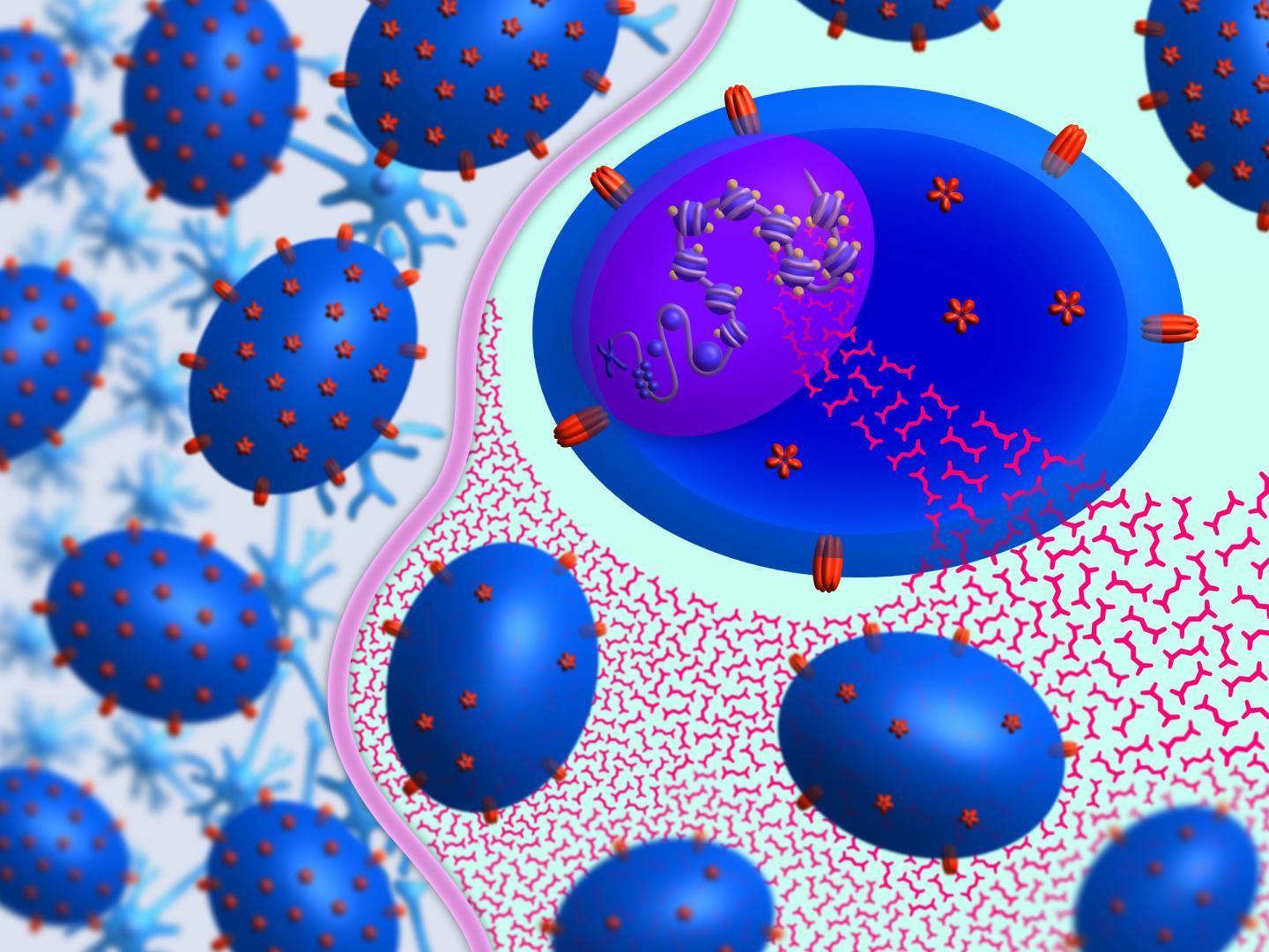 How FAE Metabolites Work To Effectively Treat MS