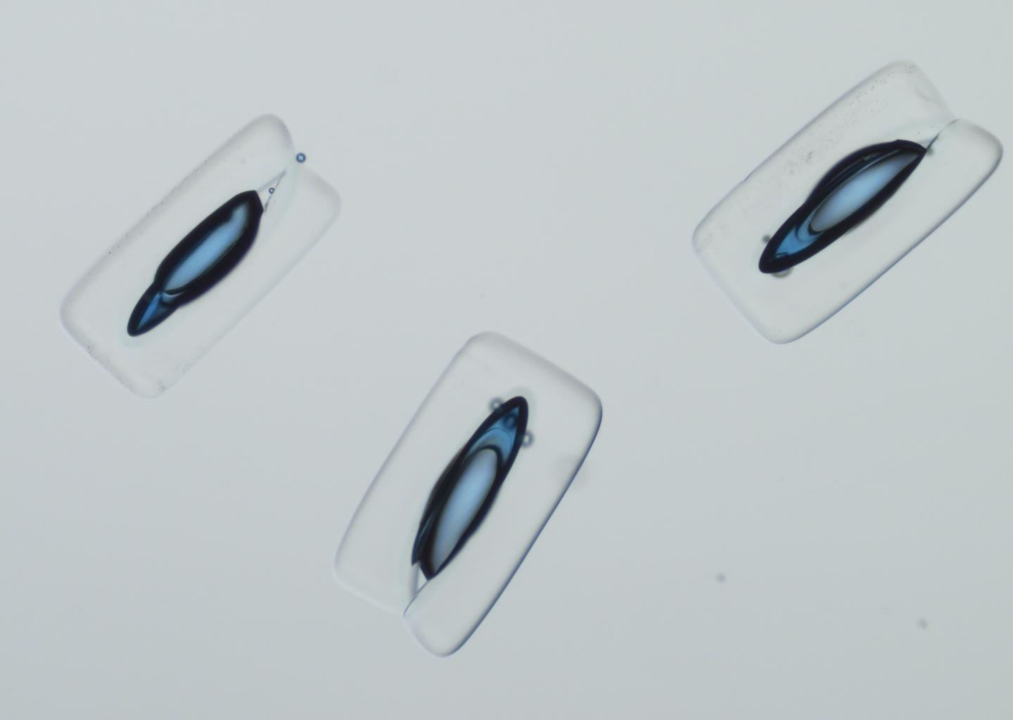 Armored emulsions photo