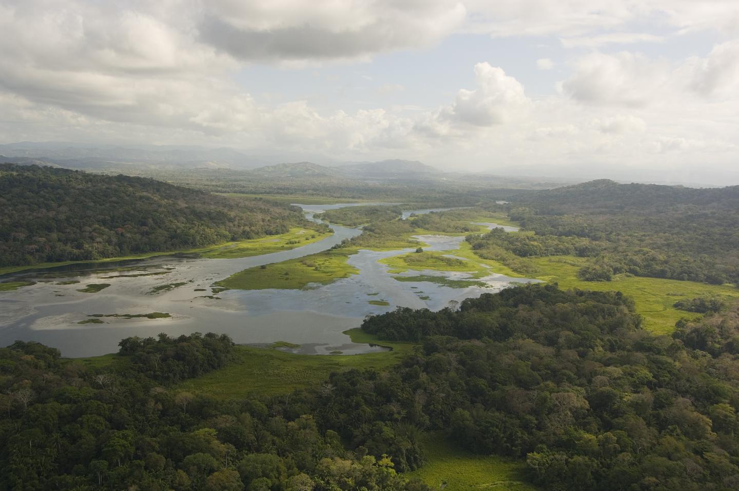 Chagres River Valley, Panama