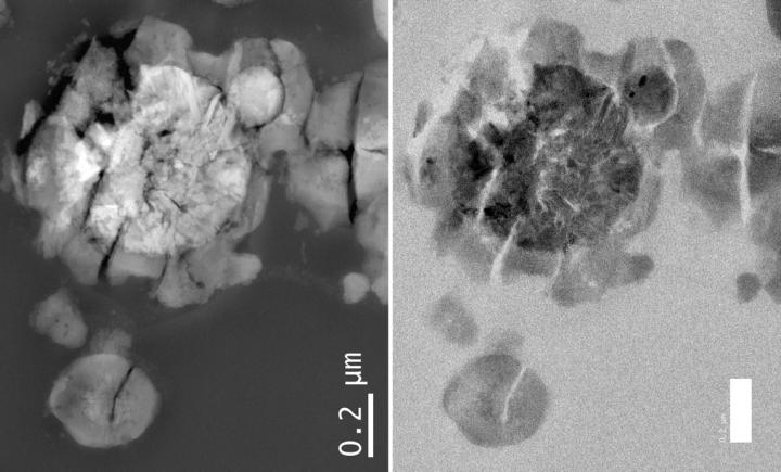 A unique prototype of microbial life designed on a real Martian material