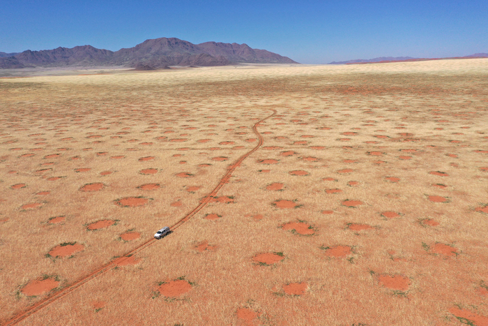 Fairy Circles