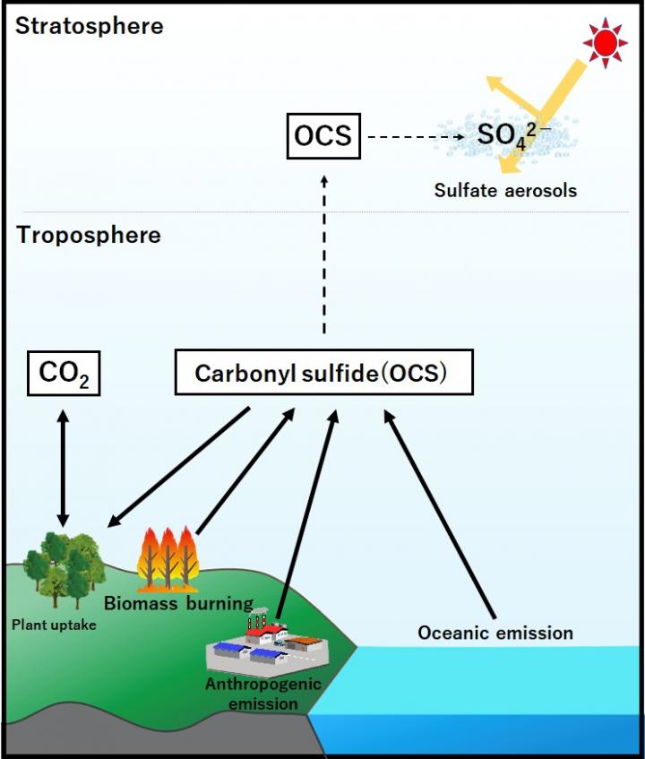 Scheme of the biogeochemical OCS cycle