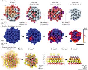 Figure 2. (a) Observation of platinum nanoparticle etching using time-resolved Brownian tomography.