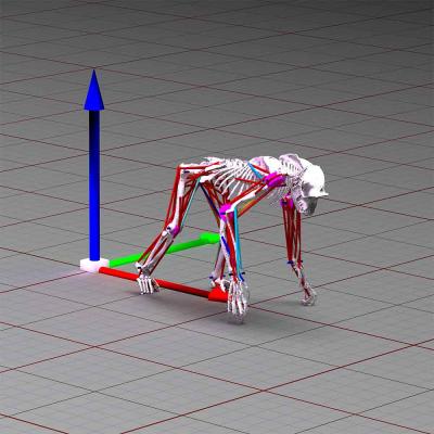 Computer Simulation Image 