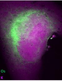 X-Ray Fluorescence Maps of Potassium