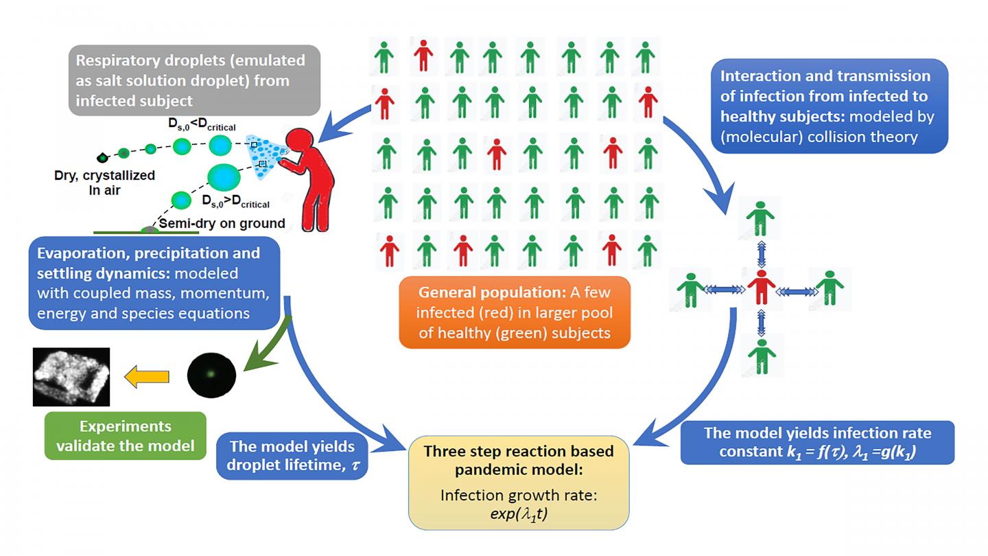 Flow diagram outlining the interconnections of the model developed