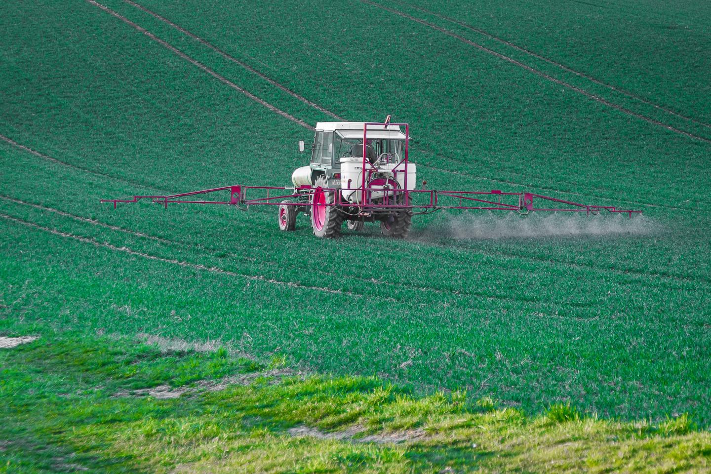 Fungicides are worldwide used in agriculture.