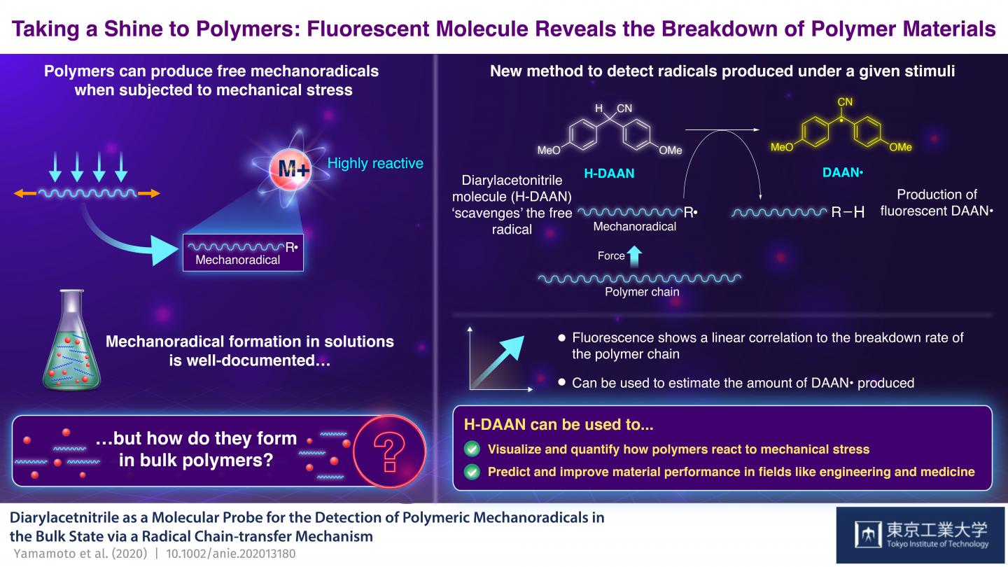 Figure 1. Schematic illustration of a molecular probe for the detection of polymeric mechanoradicals