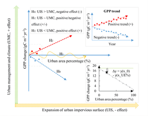 The hypothesis and analysis for GPP in urban gridcells