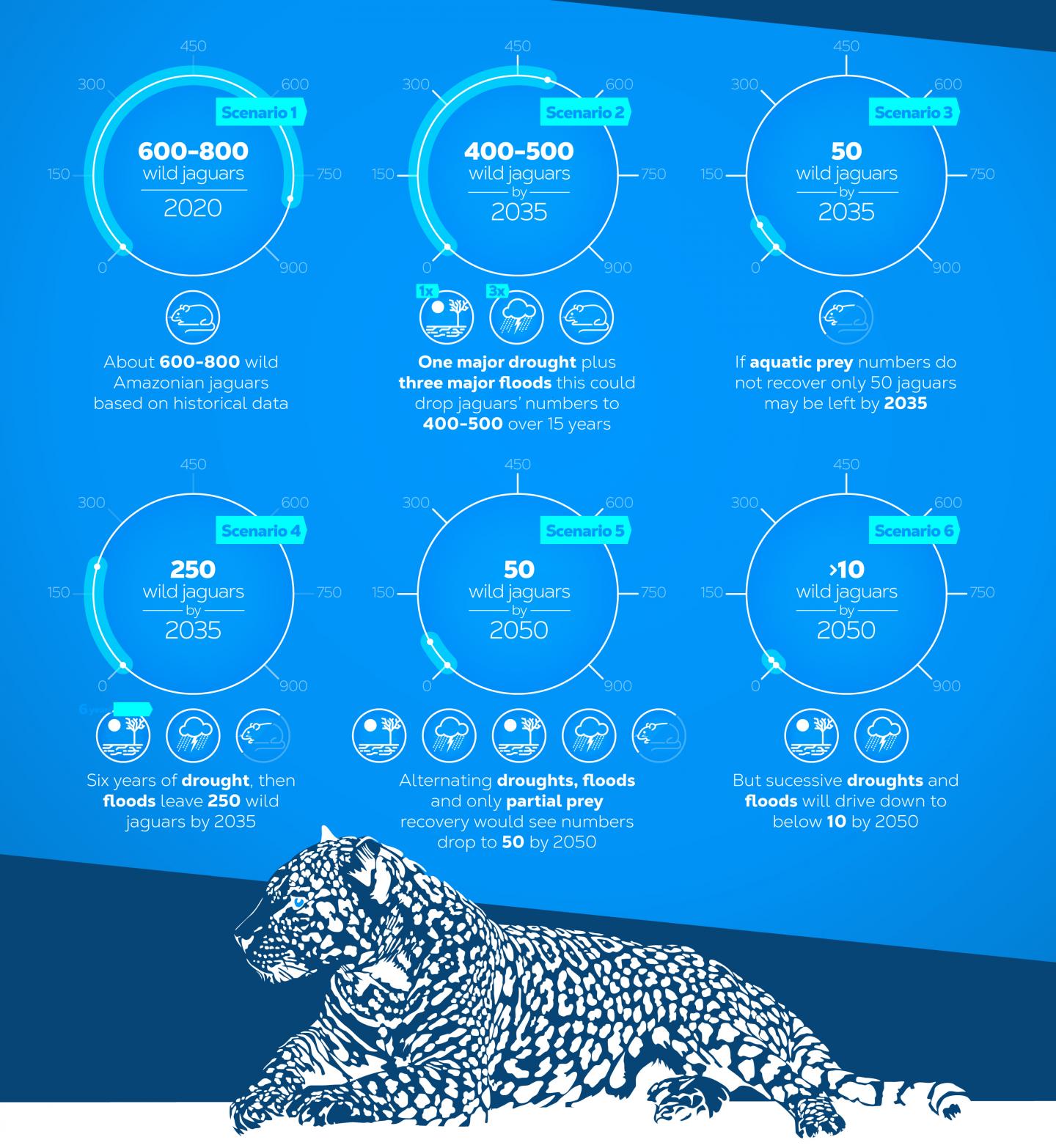 Can jaguars in the Amazon survive climate change?