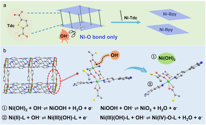 Mechanism of charge/discharge of [Ni(Tdc)(Bpy)]n MOF-based electrode