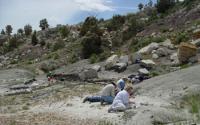 Scientists Unearthing Dinosaur Fossils at Como Bluff Quarry, Wyo.
