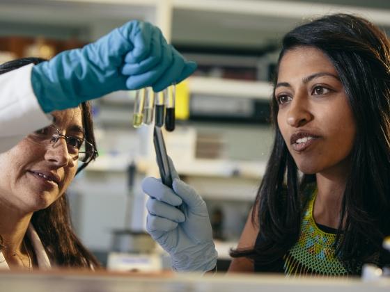 Selena Ahmed, Montana State University 